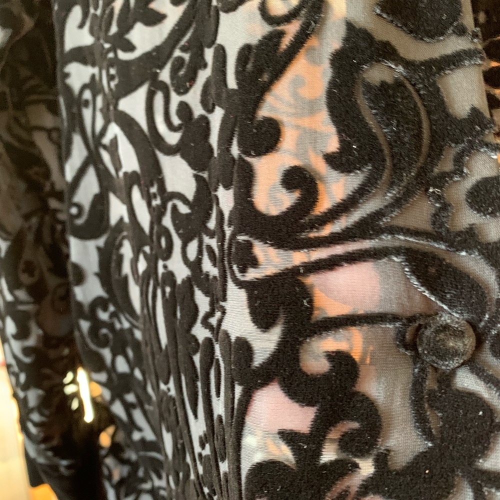 BLOUSE Vintage Black Velvet Burnout/Sheer/Velvet Scroll Pattern Annie Alexander - Picture 4 of 4